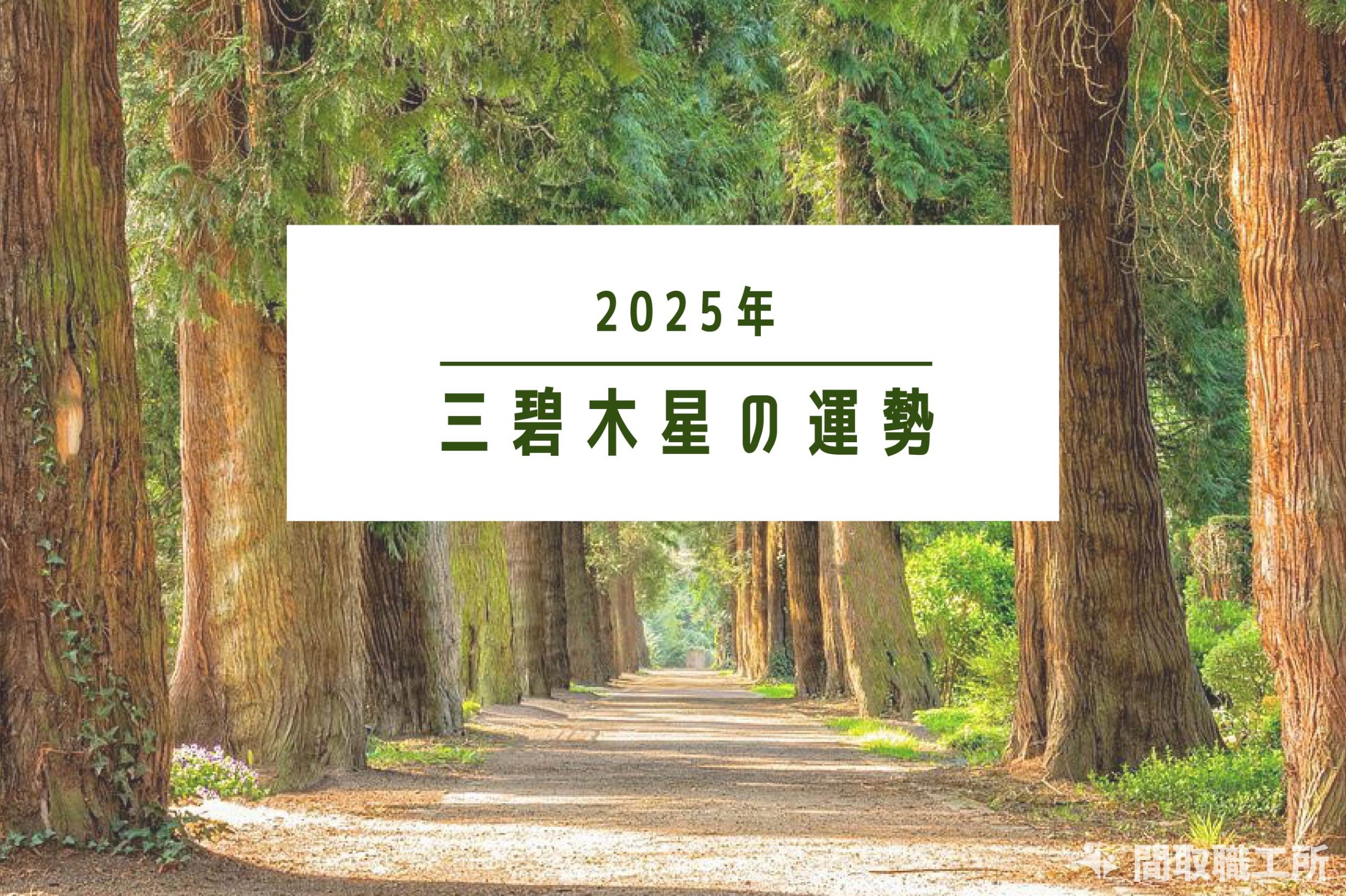 三碧木星 2025年運勢 恋愛運・結婚運・金運・仕事運・転職運・健康運・引越し【開運占い】